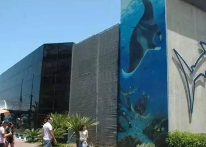 Lindo Apartamento Na Quadra Da Praia Em Santos